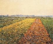 Gustave Caillebotte The Yellow Fields at Gennevilliers oil painting reproduction